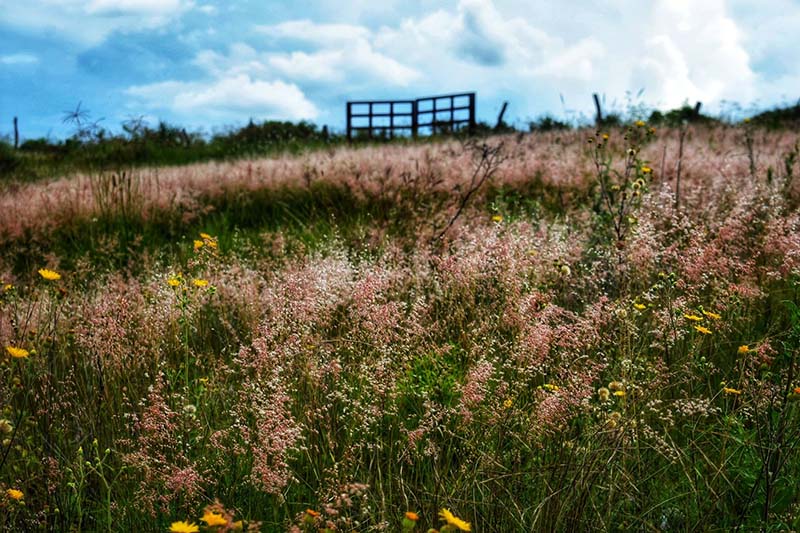 foto:Diego Armando Romo perez - lo hecho en México
