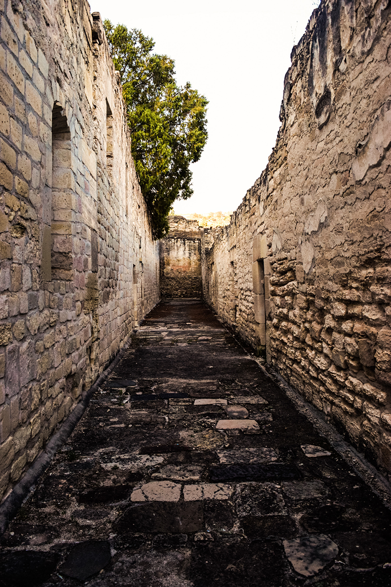 foto:Virginia Guzmán Salazar - lo hecho en México