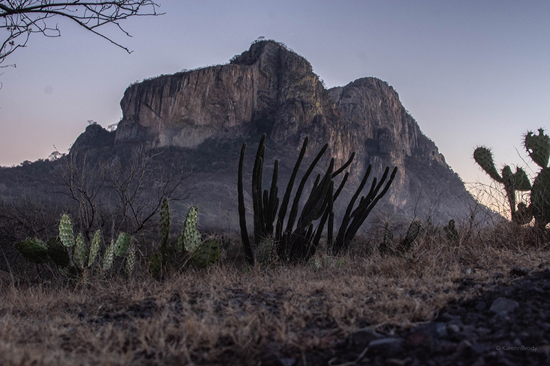 foto:Karenn Arlette Guerrero de la Torre - lo hecho en México