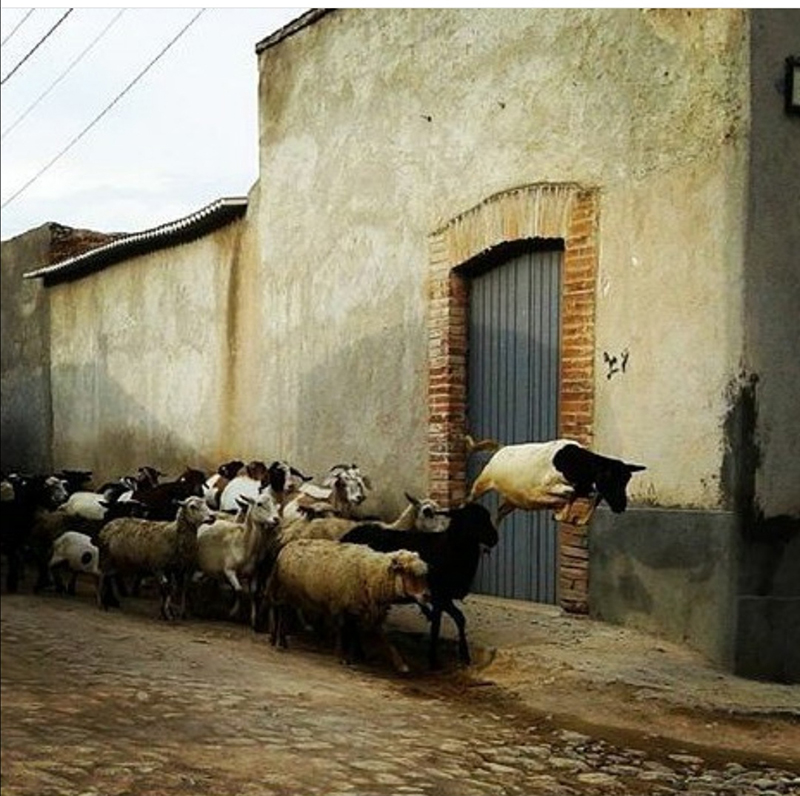foto:Lidya Ivette Cuevas Rueda Quijano  - lo hecho en México