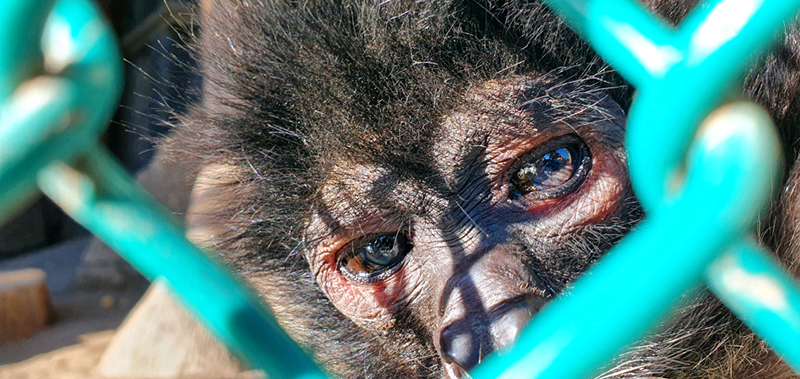 foto:Gabriel Vega Madrid   - lo hecho en México
