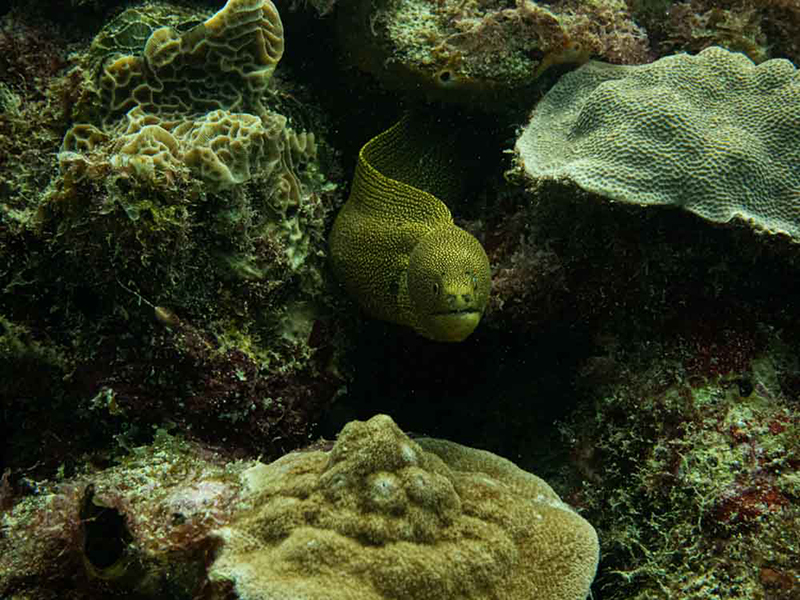 foto:moises   - lo hecho en México