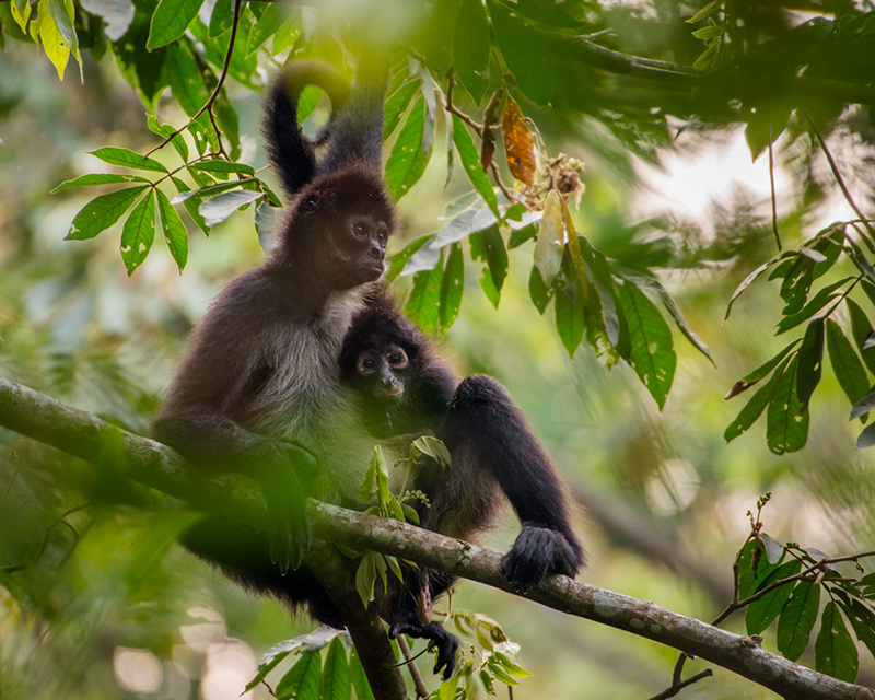 foto:León Felipe Hernández Cañez  - lo hecho en México