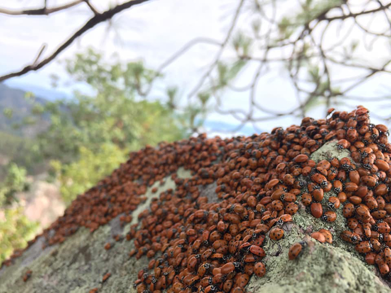 foto: ALberto Leyva - lo hecho en México
