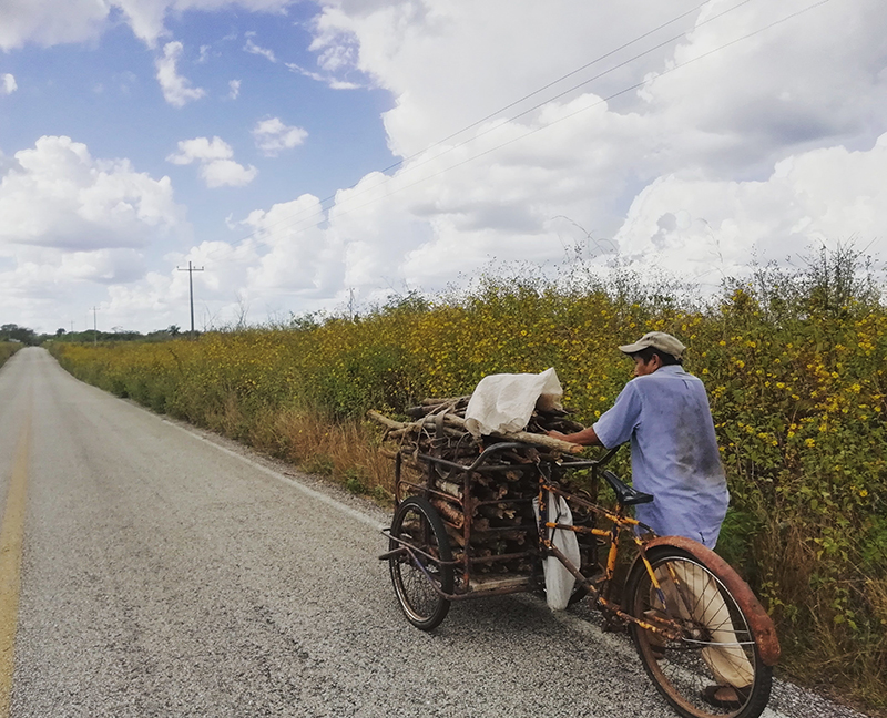 foto:Aldo Francisco Trujillo Garduño  - lo hecho en México