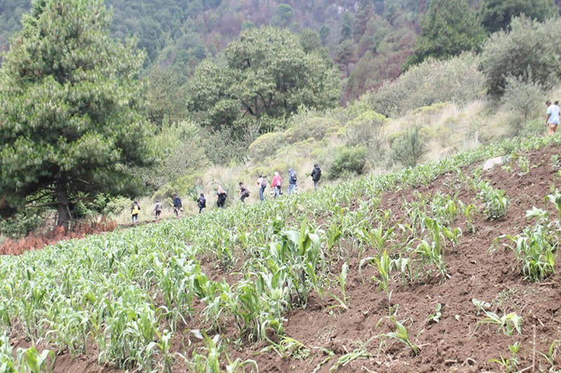 foto:Gustavo Gomez Zarco   - lo hecho en México