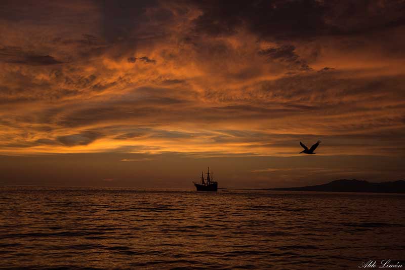 foto:Aldo Missael Limón Paniagua - lo hecho en México
