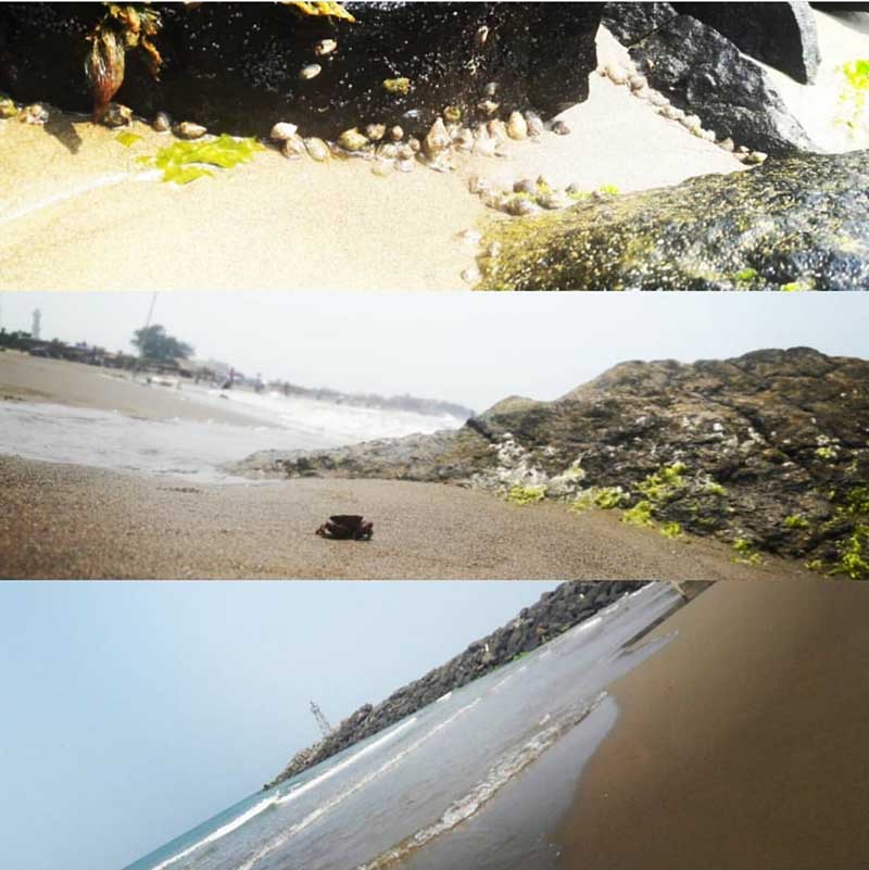 foto:Danna berenice Oropeza salcido - lo hecho en México