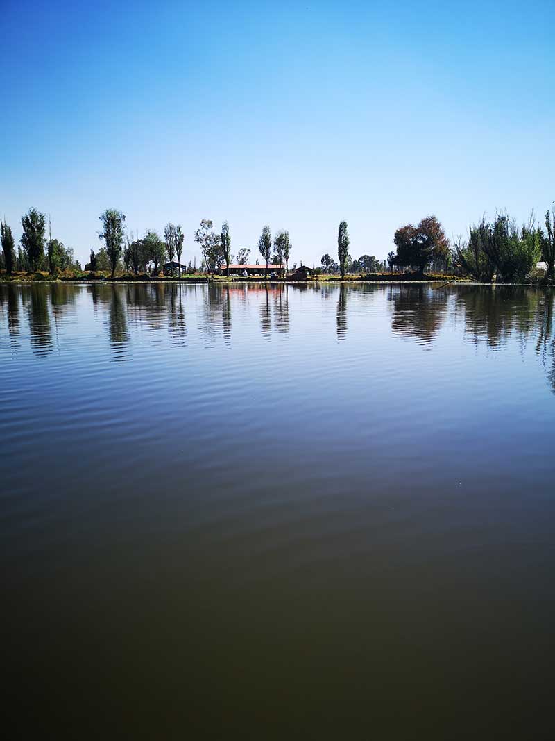 foto:Reggina Vallarino Reyes  - lo hecho en México