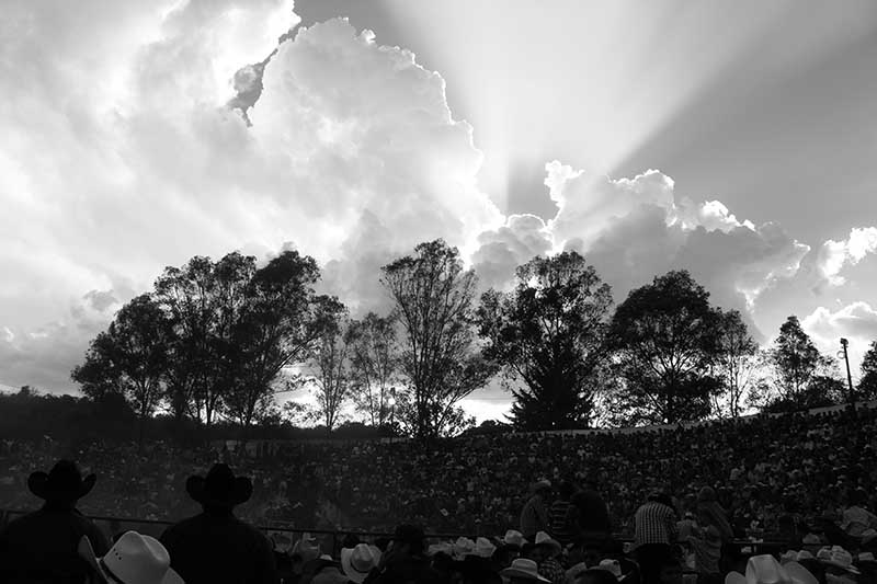 José Martín Cruz Mendoza  