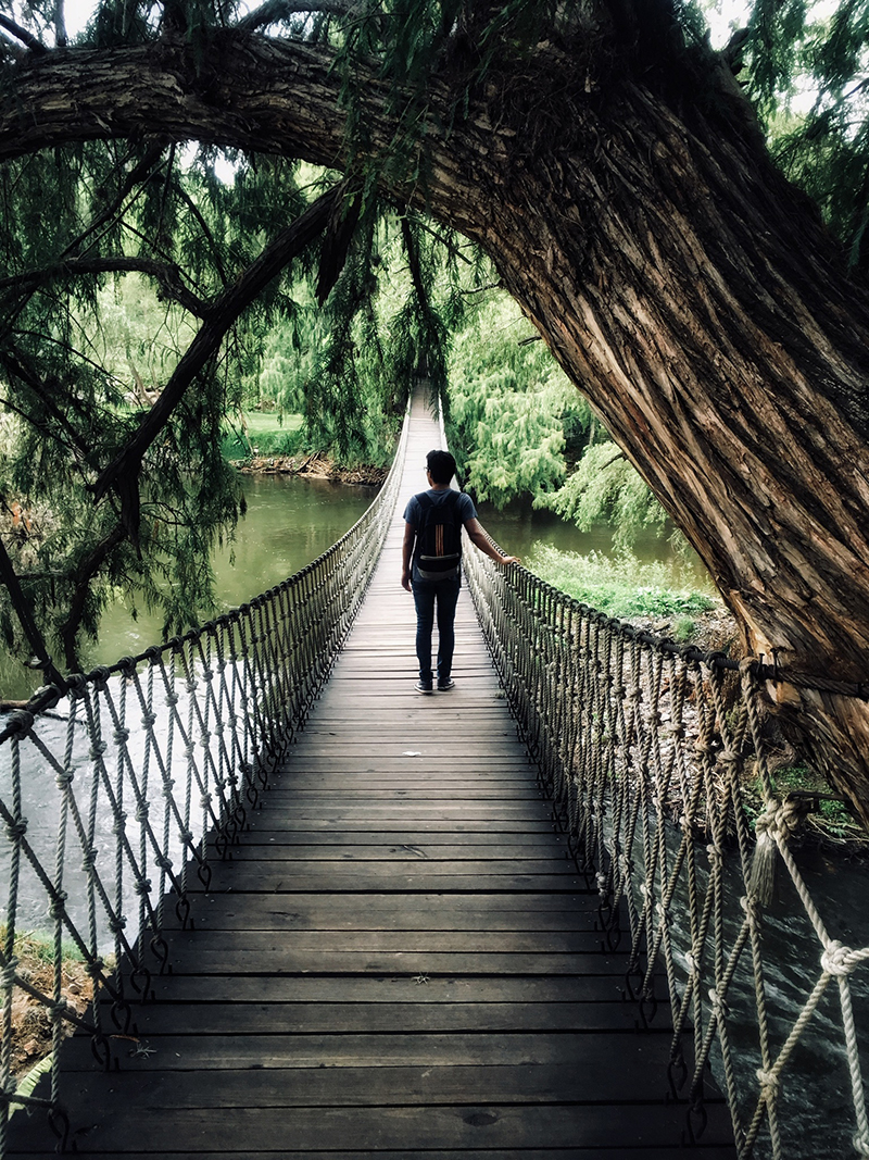 foto:Luis Fernando Soriano - lo hecho en México