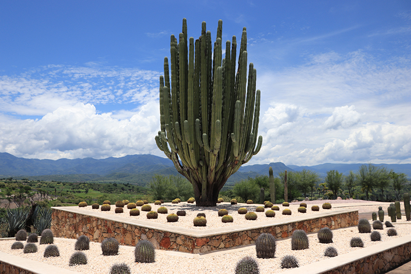 foto:Verónica Martínez Hernández - lo hecho en México