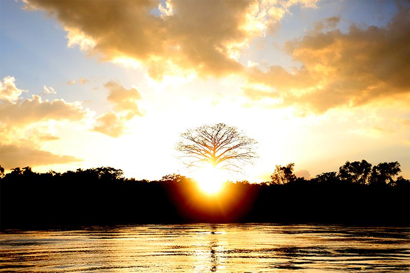 foto:Daniel Giovanni Zamora Aguilar - lo hecho en México