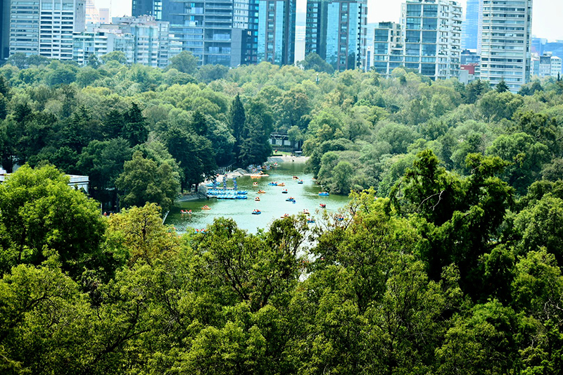 Raymundo Méndez Barrientos 