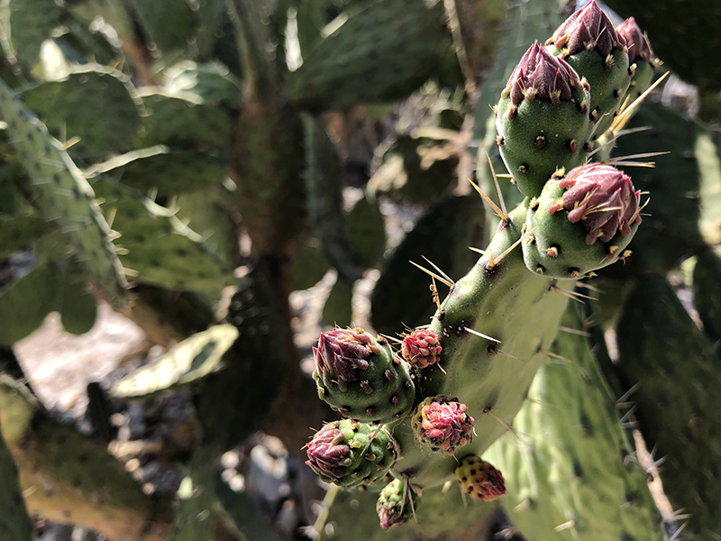 foto:Daniel Eduardo Sarmiento López   - lo hecho en México