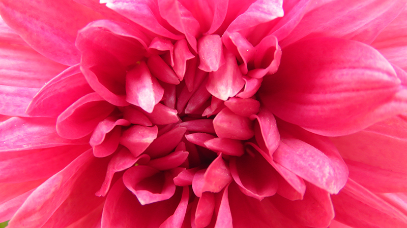 karol veronica flores monserrat 