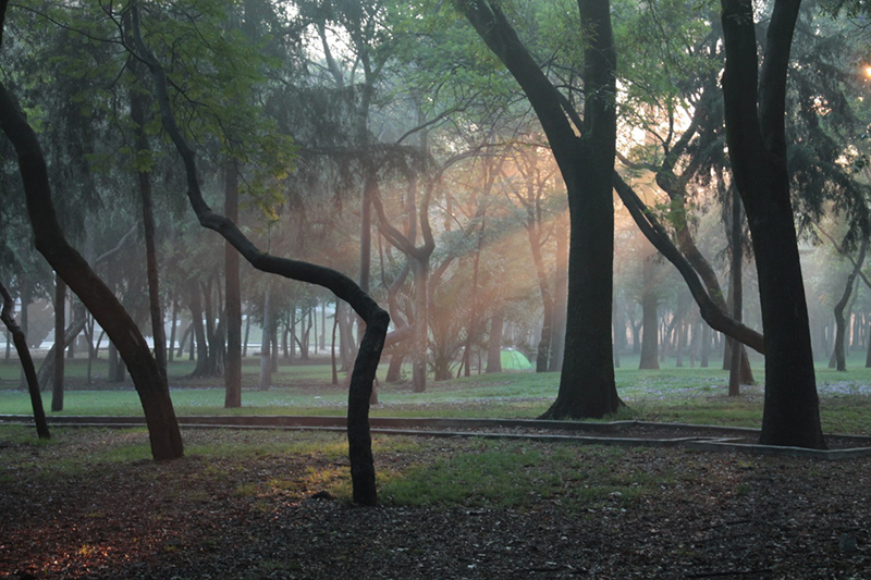 foto:AXEL ALDUCIN PONCE DE LEÓN  - lo hecho en México