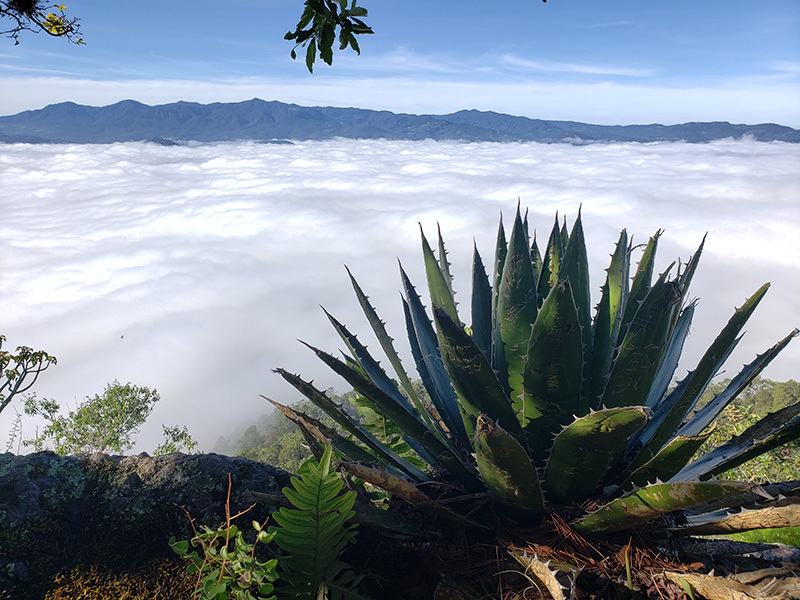 foto:Sarahi Aguilar Valle - lo hecho en México