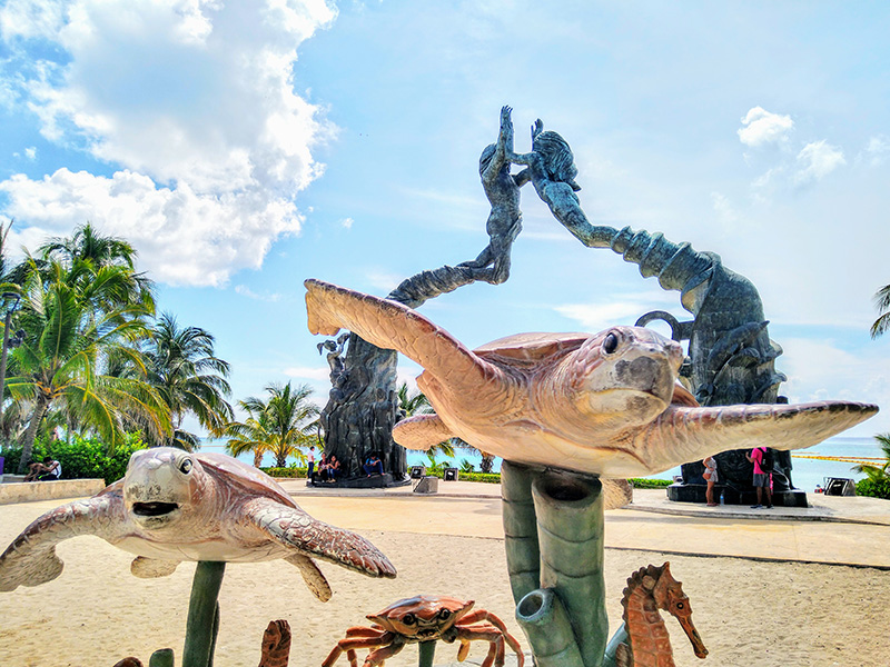 foto:Carlos Roman solares solis - lo hecho en México