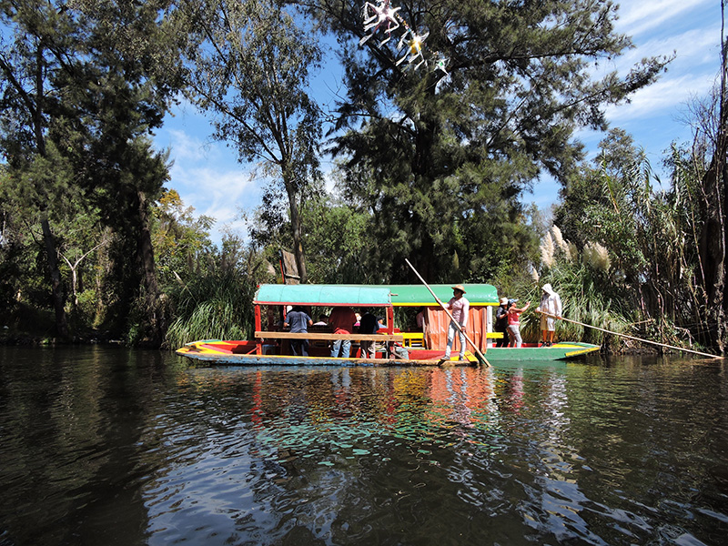 Guadalupe Angel Rodríguez 