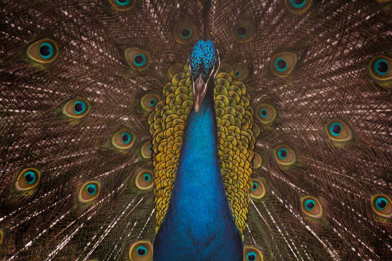 foto:Arantza Guadalupe Castagne Velasco  - lo hecho en México