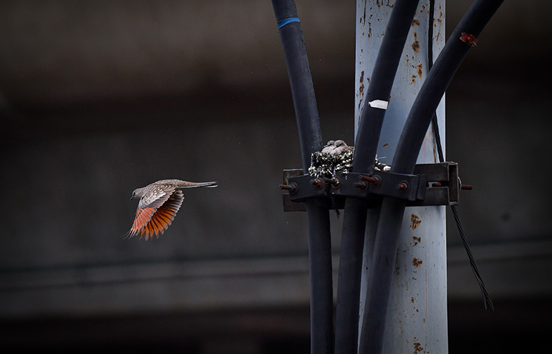 foto:Pablo Salazar Solís  - lo hecho en México