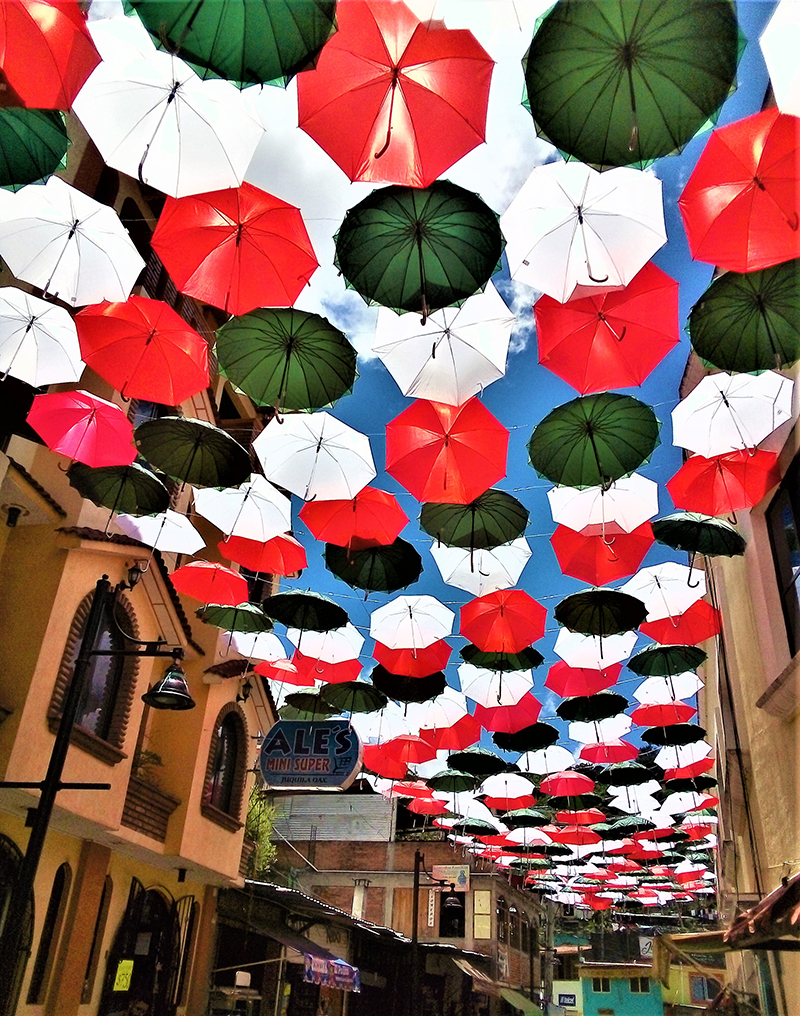 foto:Laurencio de Jesús Cerda Jiménez - lo hecho en México