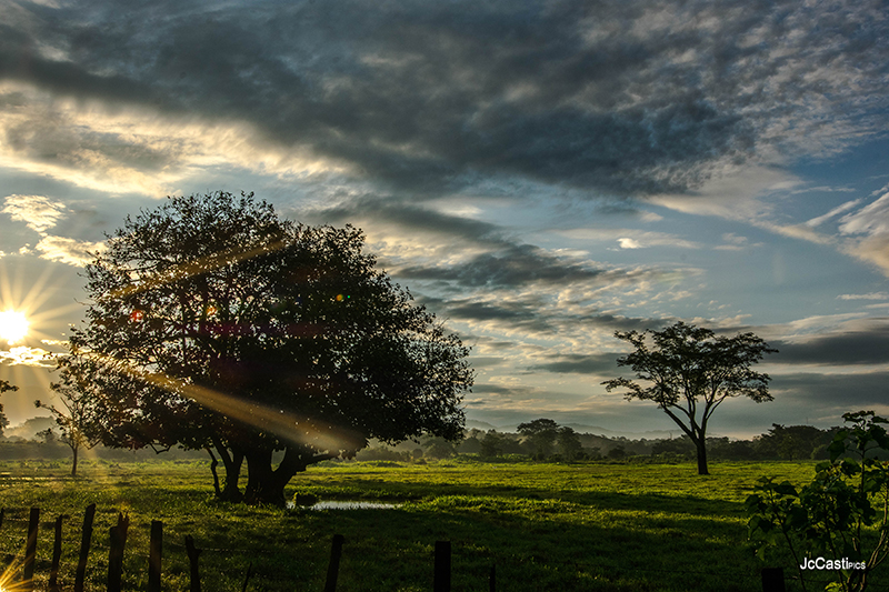 foto:Juan Carlos De La Cruz Castillejos  - lo hecho en México