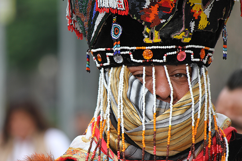 marisol sainz quezada 