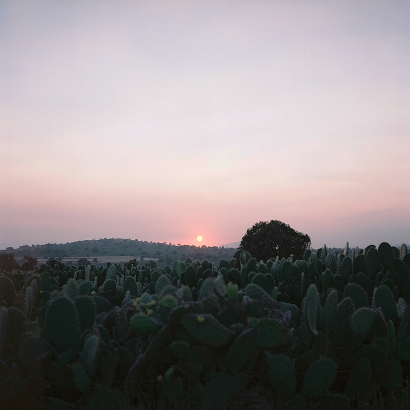 foto:José Raúl Ruz Fernández  - lo hecho en México