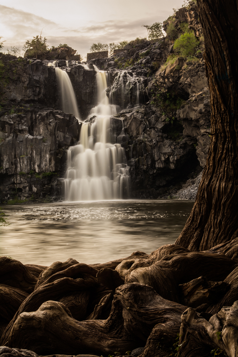 foto:Miguel Angel Pedroza Yañez  - lo hecho en México