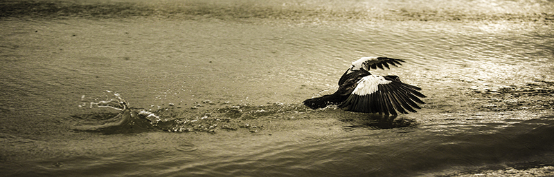 foto:Eduardo Carmona Otero  - lo hecho en México