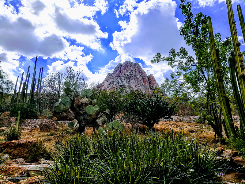 foto:Mayra Domínguez Valera  - lo hecho en México