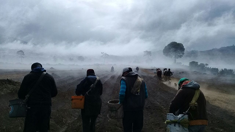 foto:NADIA IVONNE GARCIA ROJAS - lo hecho en México