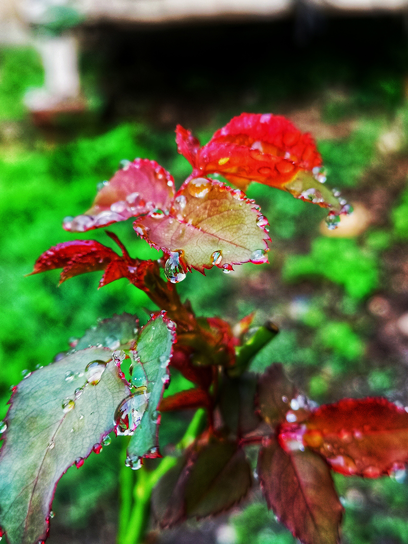 foto:Omar Valdés peñaloza  - lo hecho en México