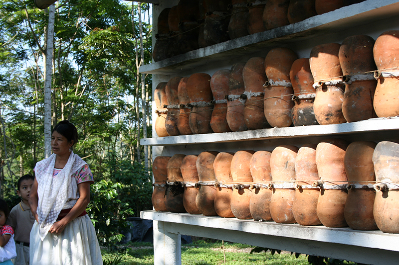 Veronica Chavez Mena