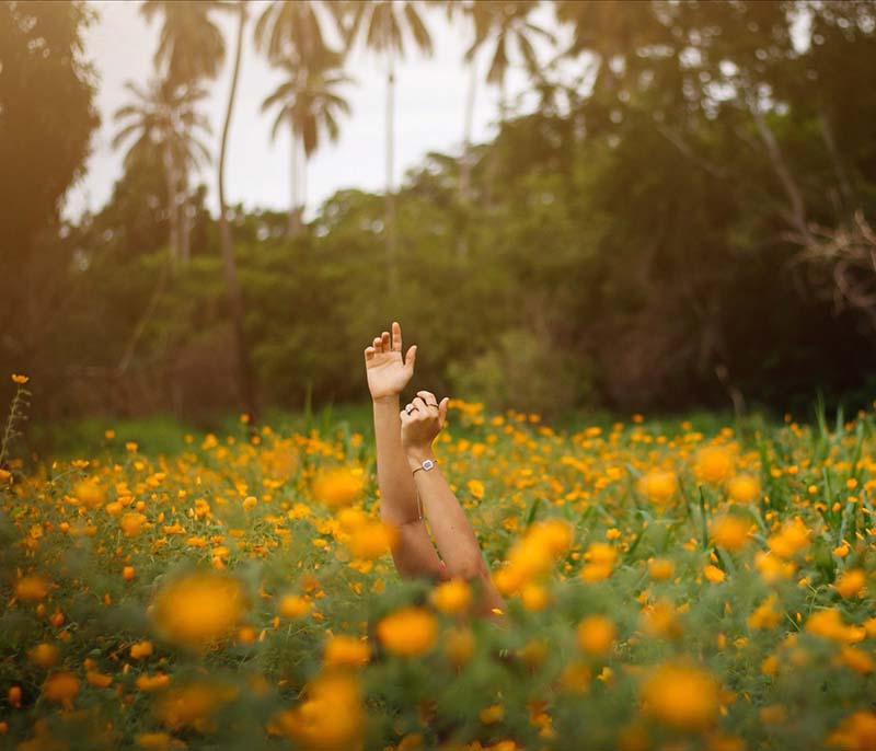 foto:Sergio Alejandro Rodriguez Rojas - lo hecho en México