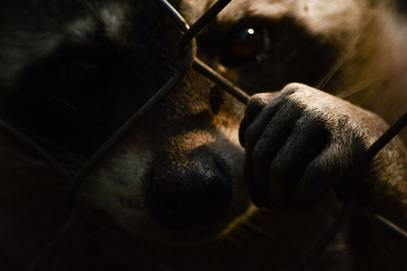 foto:Jose Carlos Treviño Rocha  - lo hecho en México