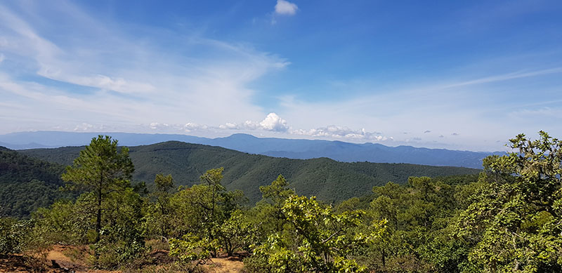 foto:Heradio Gil Robles Maldonado   - lo hecho en México