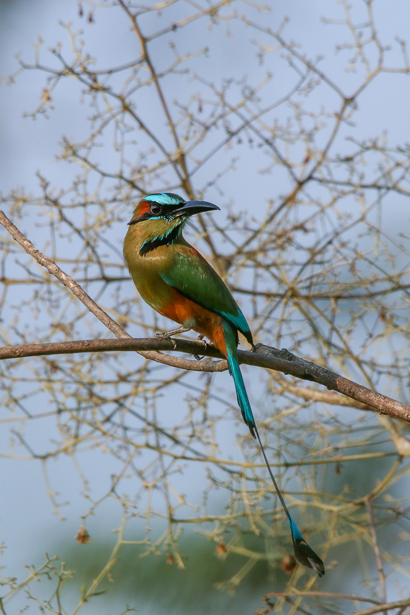 foto:Salomón Guillén Pérez   - lo hecho en México