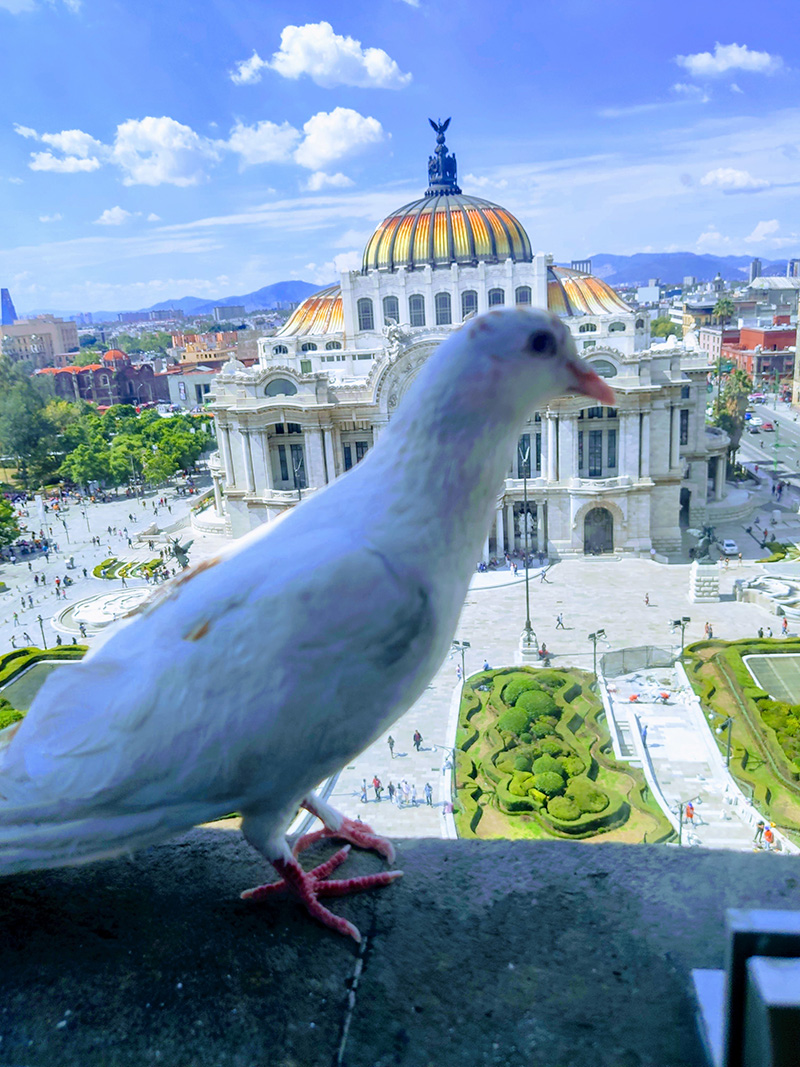 foto:Raúl Díaz avalos - lo hecho en México