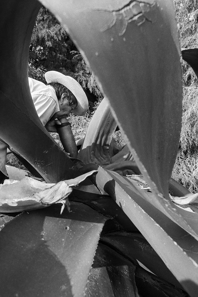 foto:Genaro González Berumen - lo hecho en México