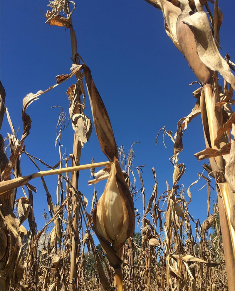 foto:Liliana xilotl Morales   - lo hecho en México