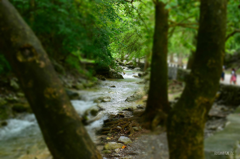 foto:Adriana Guadalupe Padilla Cruz - lo hecho en México
