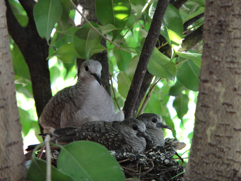 foto:Marìa Yvonne Murillo Jimènez  - lo hecho en México