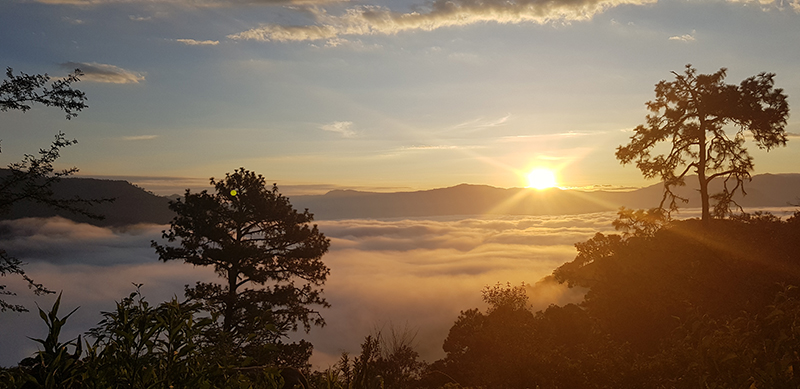 foto:Hiram Enrique Murillo Ozuna - lo hecho en México