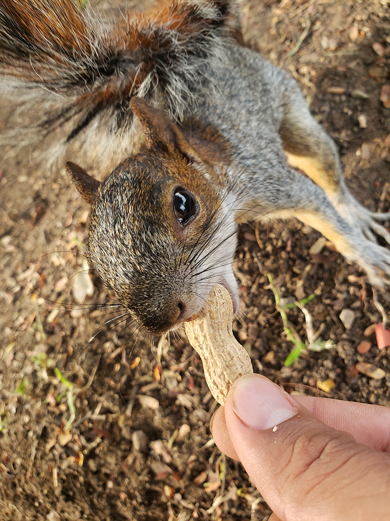 foto:Jonathan Ventura ortega   - lo hecho en México