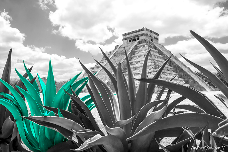 foto:Andrea Ramírez Velasco - lo hecho en México