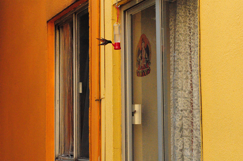 Michelle Vilchis Sanchez 