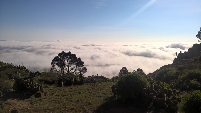 foto:Sofía Rojas Bernal  - lo hecho en México